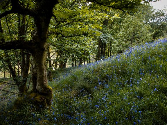 DSC 7164 AuroraHDR2018-edit