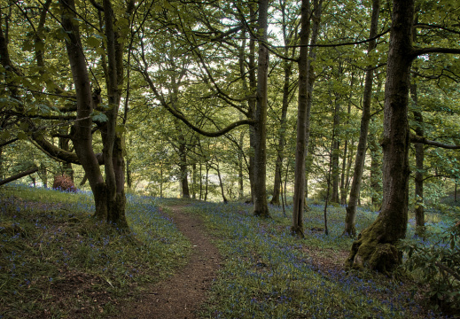 DSC 7201 AuroraHDR2018-edit