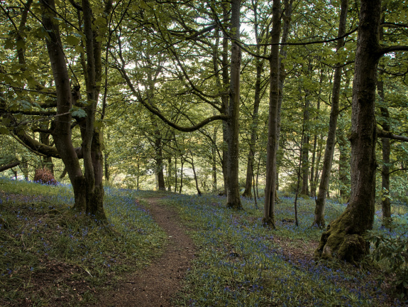 DSC 7201 AuroraHDR2018-edit