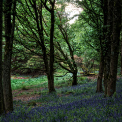 DSC 7372 AuroraHDR2018-edit