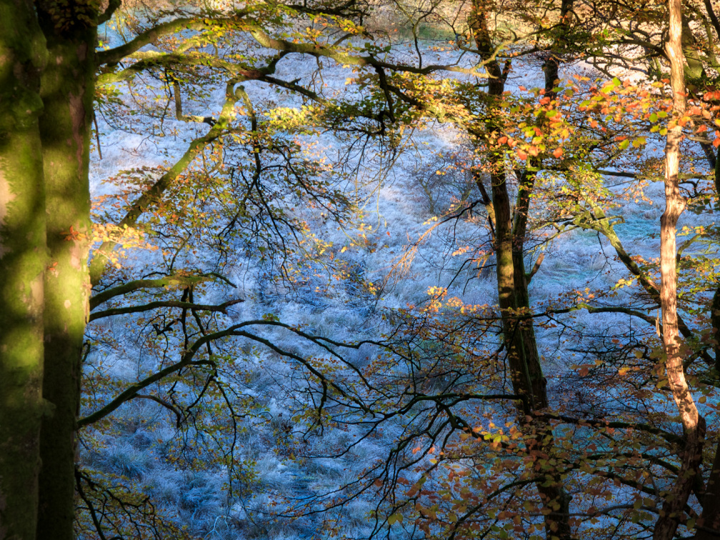 DSC 8181 AuroraHDR2018-edit