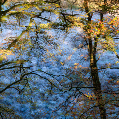 DSC 8181 AuroraHDR2018-edit