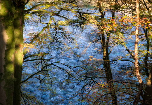 DSC 8181 AuroraHDR2018-edit