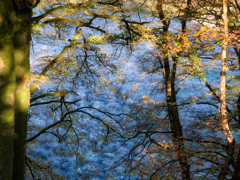 DSC 8181 AuroraHDR2018-edit