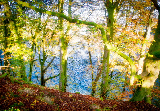 DSC 8178 AuroraHDR2018-edit