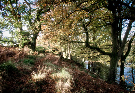 DSC 8184 AuroraHDR2018-edit