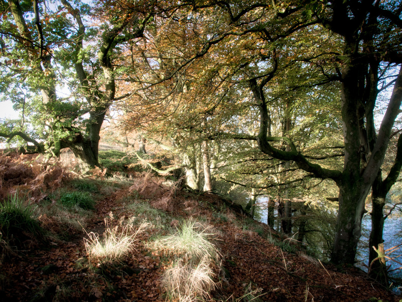 DSC 8184 AuroraHDR2018-edit