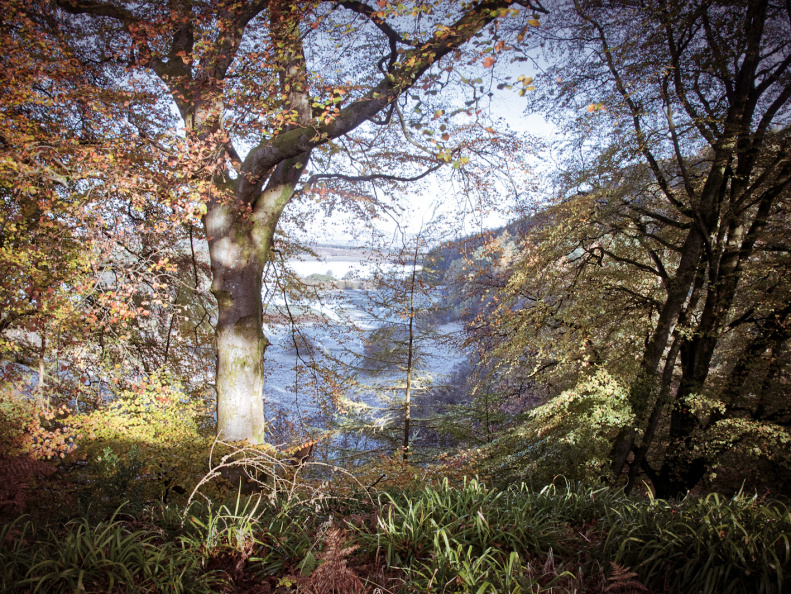 DSC 8190 AuroraHDR2018-edit