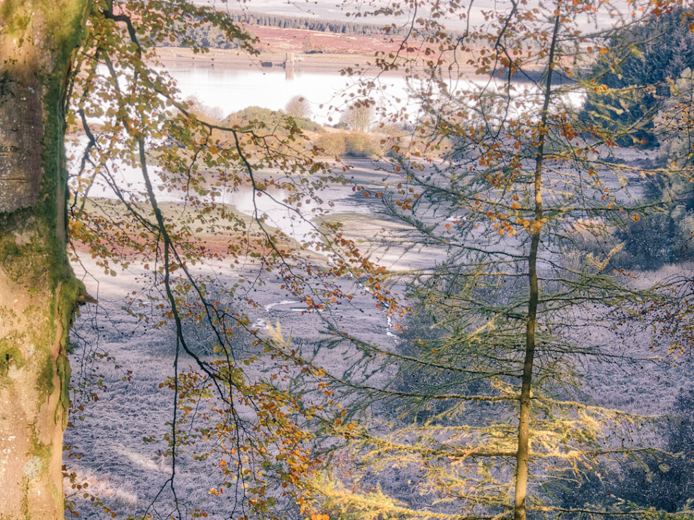 DSC 8193 AuroraHDR2018-edit