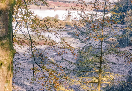 DSC 8193 AuroraHDR2018-edit