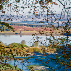 DSC 8196 AuroraHDR2018-edit