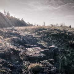 DSC 8235 AuroraHDR2018-edit