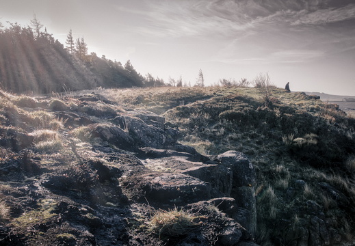 DSC 8235 AuroraHDR2018-edit