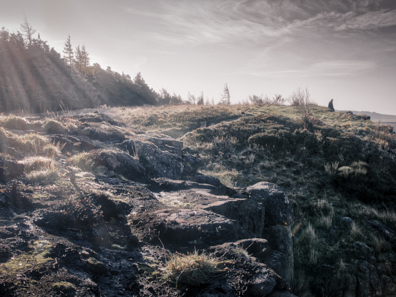 DSC 8235 AuroraHDR2018-edit